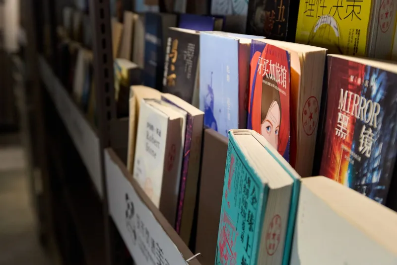 Lost in Translation: Why Light Novels Keep Getting Butchered on Screen
